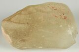 Libyan Desert Glass ( g) - Meteorite Impactite #188440-1